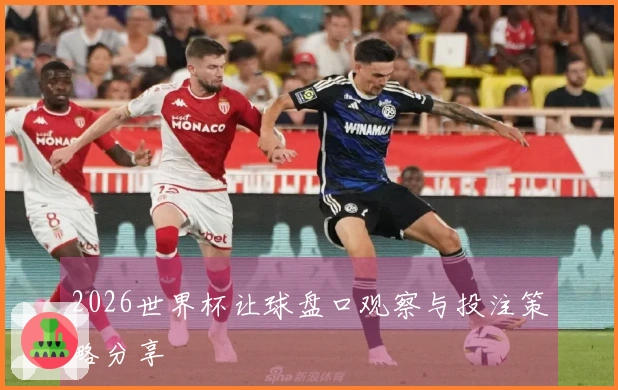 2026世界杯让球盘口观察与投注策略分享
