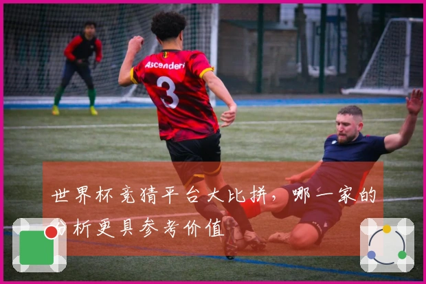 世界杯竞猜平台大比拼，哪一家的分析更具参考价值