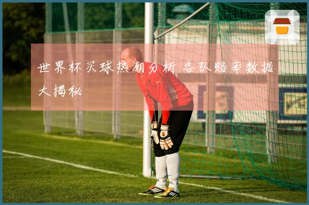 世界杯买球热潮分析 各队赔率数据大揭秘