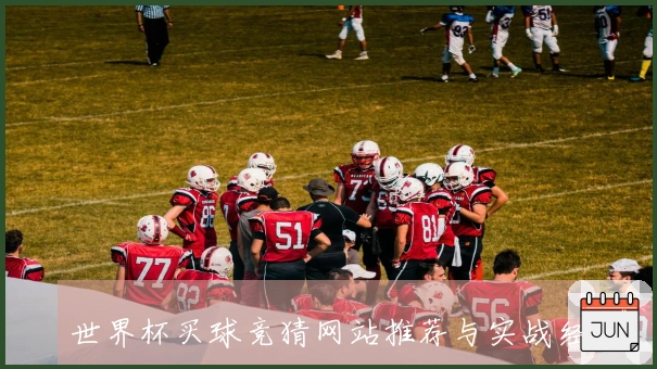 世界杯买球竞猜网站推荐与实战经验分享