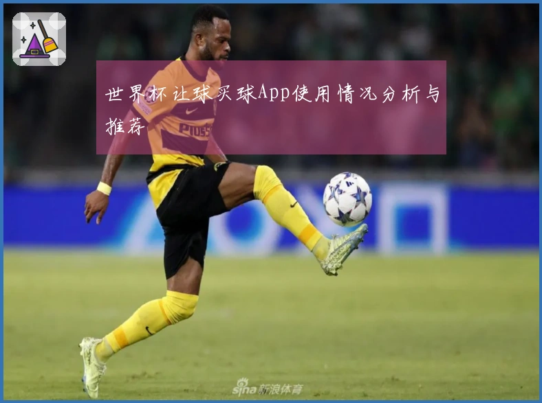 世界杯让球买球App使用情况分析与推荐