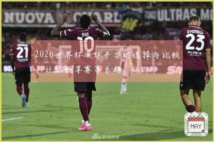 2026世界杯滚球平台的选择与比较，让你畅享赛事乐趣