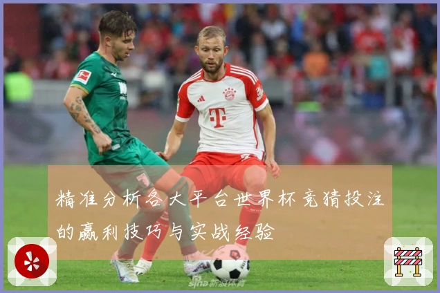 精准分析各大平台世界杯竞猜投注的赢利技巧与实战经验