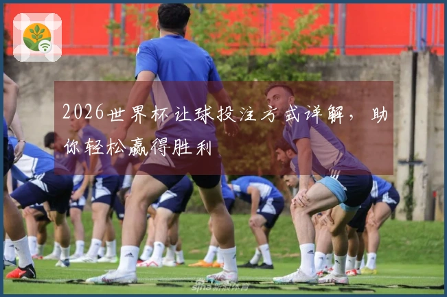 2026世界杯让球投注方式详解，助你轻松赢得胜利