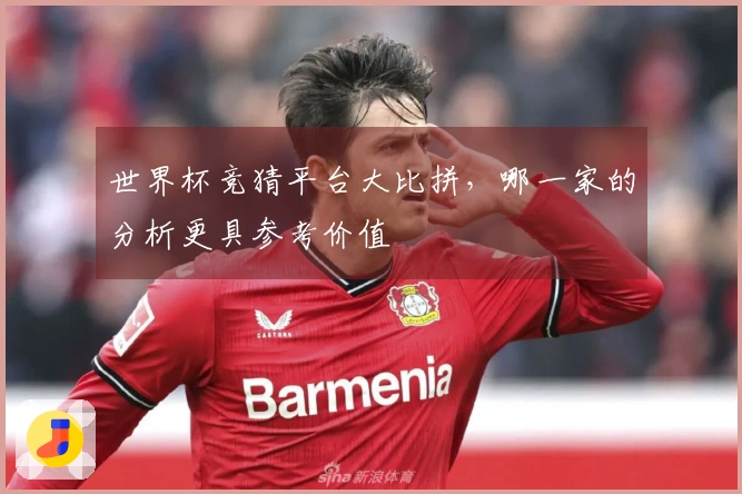 世界杯竞猜平台大比拼，哪一家的分析更具参考价值
