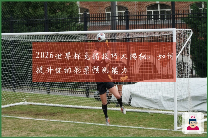 2026世界杯竞猜技巧大揭秘，如何提升你的彩票预测能力
