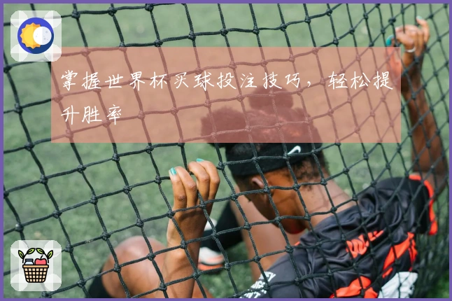 掌握世界杯买球投注技巧，轻松提升胜率
