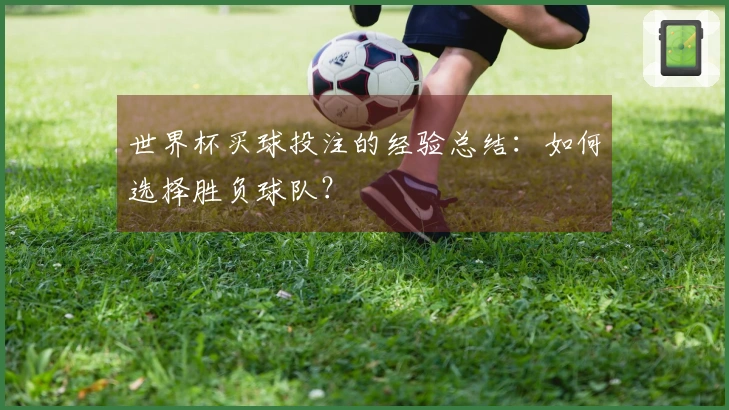 世界杯买球投注的经验总结：如何选择胜负球队？