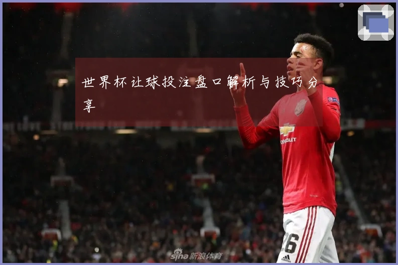 世界杯让球投注盘口解析与技巧分享