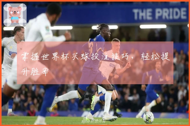 掌握世界杯买球投注技巧，轻松提升胜率