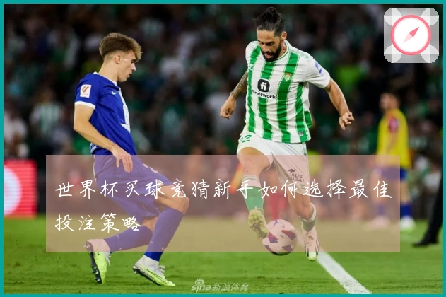 世界杯买球竞猜新手如何选择最佳投注策略