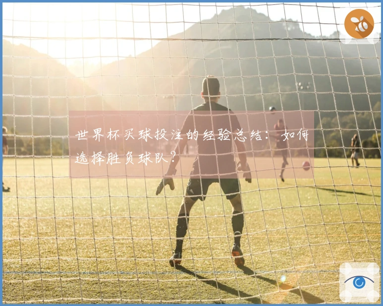 世界杯买球投注的经验总结：如何选择胜负球队？