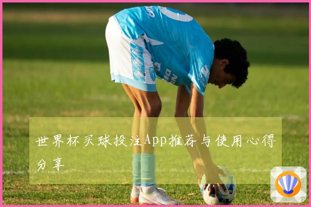 世界杯买球投注App推荐与使用心得分享