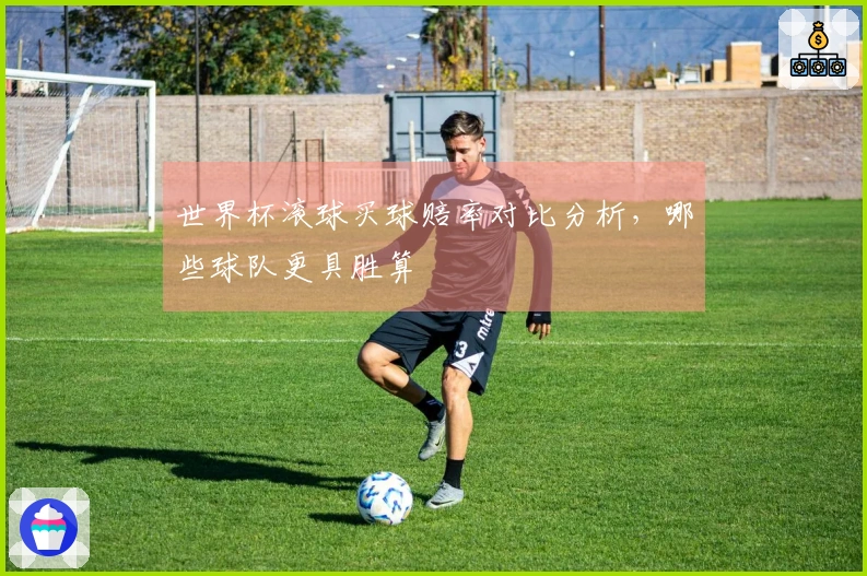 世界杯滚球买球赔率对比分析，哪些球队更具胜算