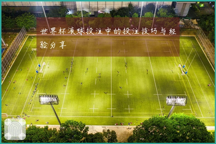 世界杯滚球投注中的投注技巧与经验分享